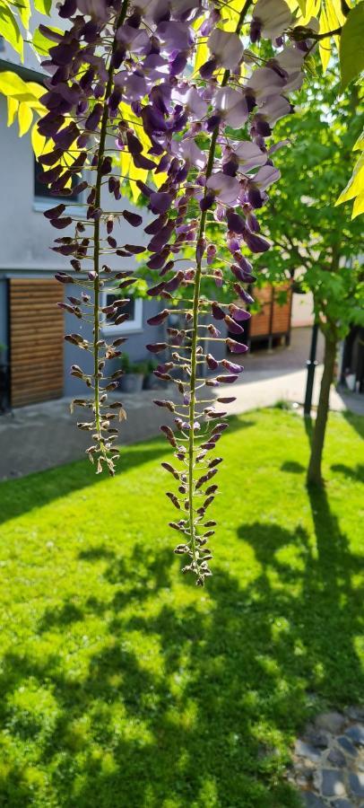 Ferienwohnung Oliver Fritzlar Exteriör bild